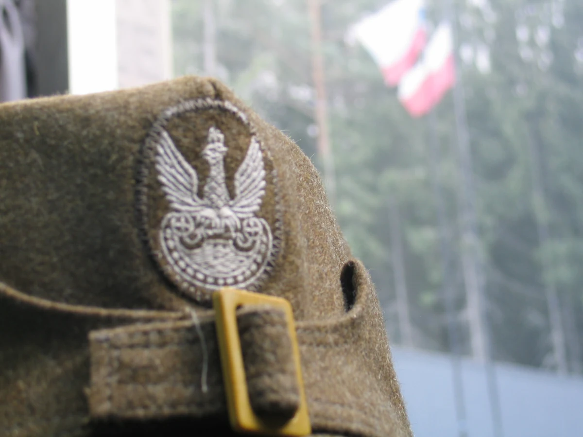 Jeszcze dziś w internecie znajdzie się ok. tysiąc stron dokumentów dotyczących zbrodni katyńskiej, pochodzących z amerykańskich archiwów. Wśród nich będą m.in. akta do tej pory nieopublikowane. Materiały, które zostaną udostępnione, pochodzą m.in. z kartotek Izby Reprezentantów, Departamentu Stanu, CIA, FBI i Sztabu Wojsk Lądowych USA. Wciąż nie wiadomo jednak, czy w zbiorze znajdzie się zaginiony w tajemniczych okolicznościach raport Van Vlieta - świadectwo amerykańskiego jeńca, który został wysłany do Katynia w 1943 roku.