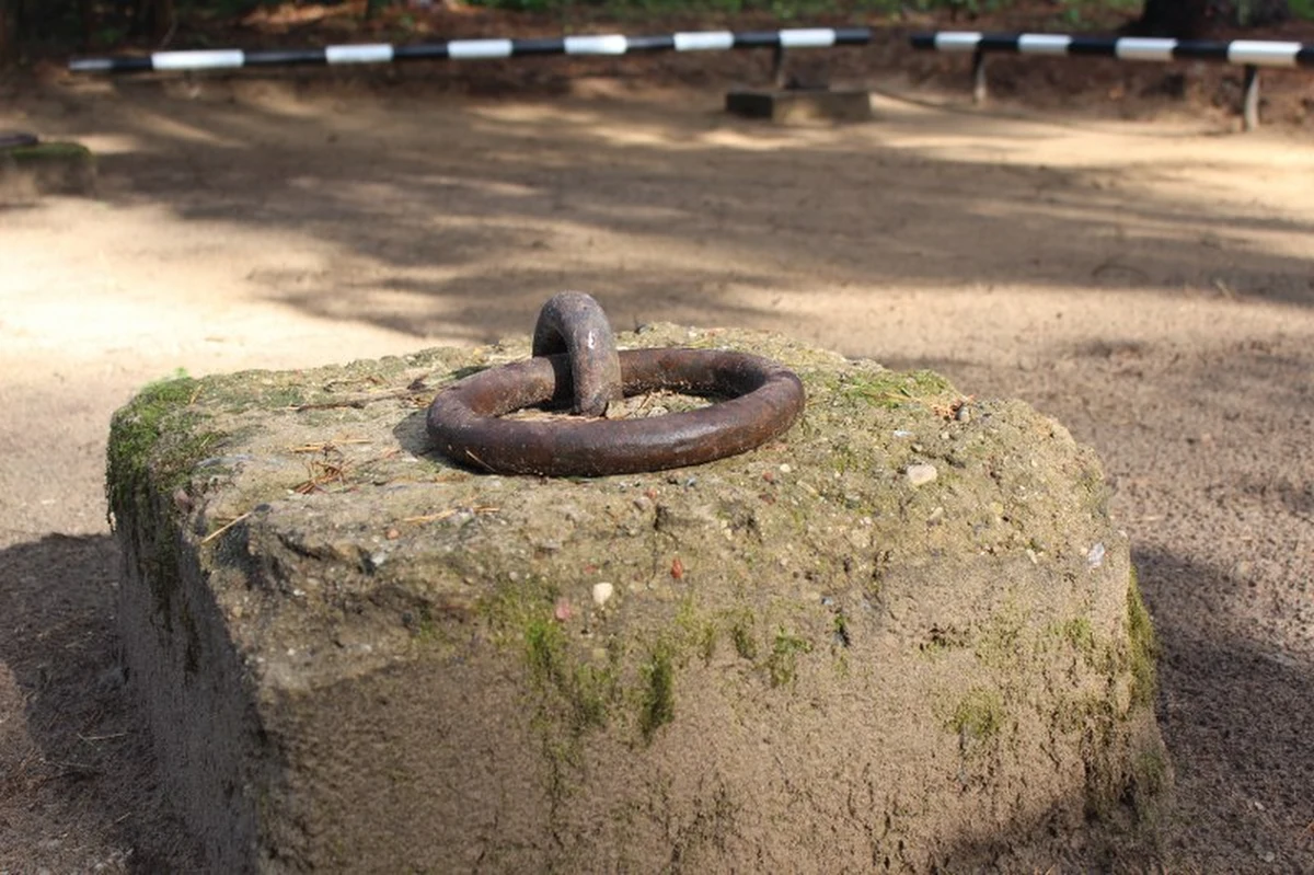 W Dywitach niedaleko Olsztyna Henryk Mondroch, regionalny pasjonat historii, odkrył pozostałości po ogromnej bazie sterowców i balonów wojskowych. Zachowały się m.in. stacje cumujące oraz torowisko prowadzące do nieistniejącego hangaru.