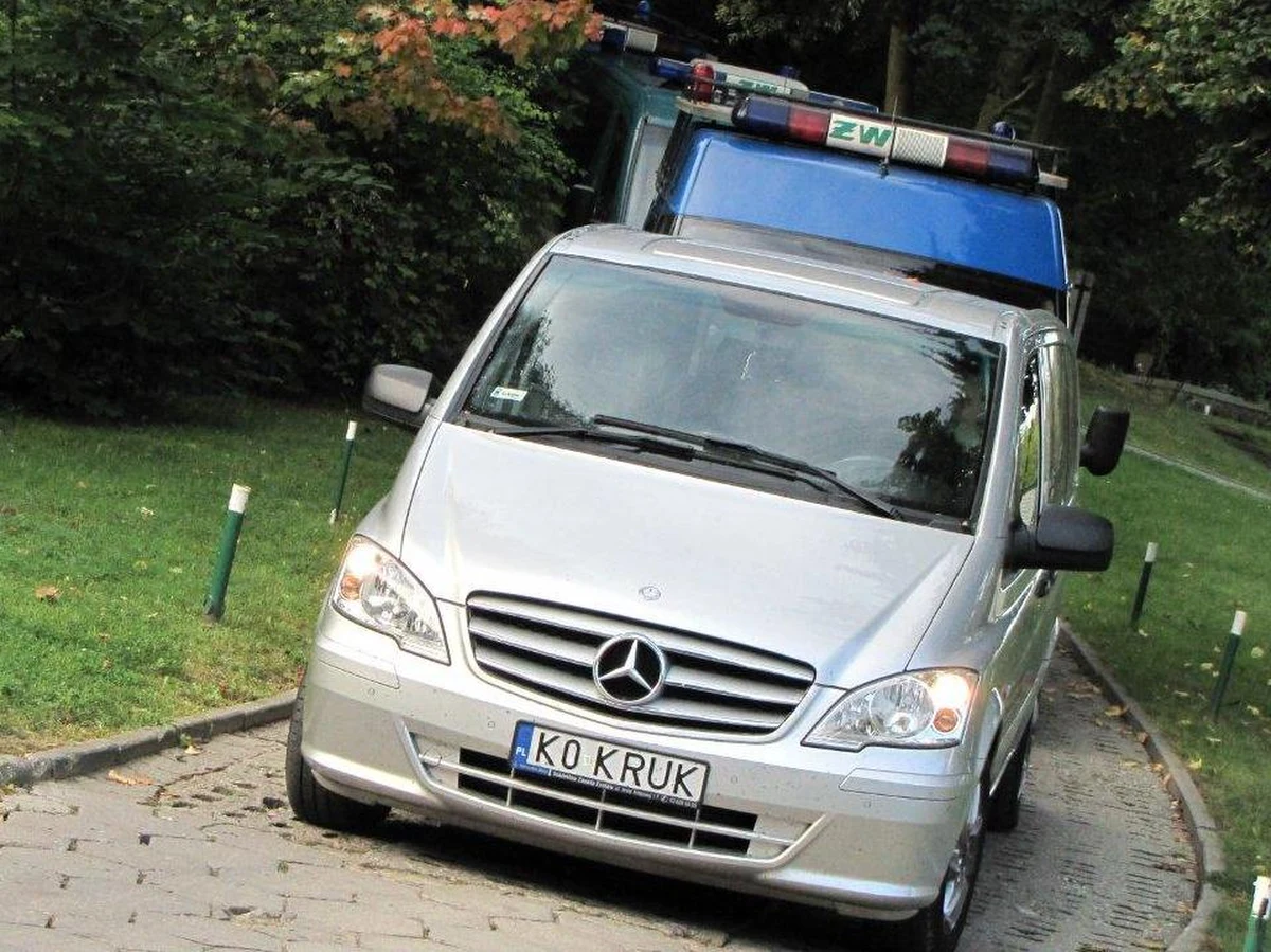 Prokuratura wojskowa będzie wyjaśniać, dlaczego ekshumacja Anny Walentynowicz opóźniła się o ponad 2,5 godziny. Powodem zamieszania była nieobecność przedstawicieli sanepidu. Jak się okazało, na liście osób dopuszczonych w miejsce ekshumacji zabrakło ich nazwisk. Kilka godzin później w Zakładzie Medycyny Sądowej w Bydgoszczy zepsuł się tomograf. Badanie szczątków Walentynowicz odwołano.