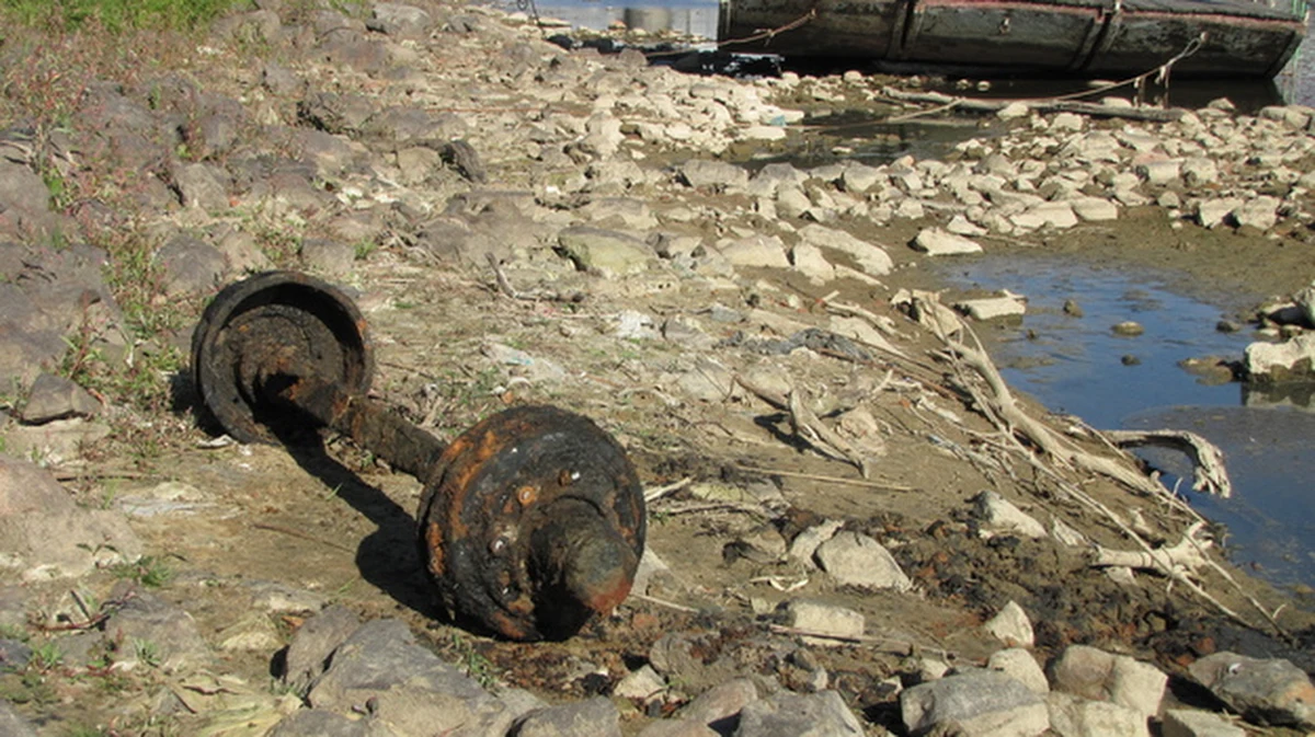 Nie ma planów specjalnej akcji oczyszczania Wisły - usłyszał reporter RMF FM w Regionalnym Zarządzie Gospodarki Wodnej. Wyjątkowo niski poziom wody ujawnił w rzece bardzo dużo różnego rodzaju śmieci. W rzece można znaleźć rury, kątowniki, części samochodów oraz pralki czy lodówki.