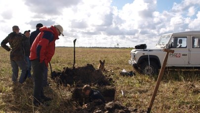 Tsunami na Bałtyku? Zaskakujące odkrycie geologów FOTO