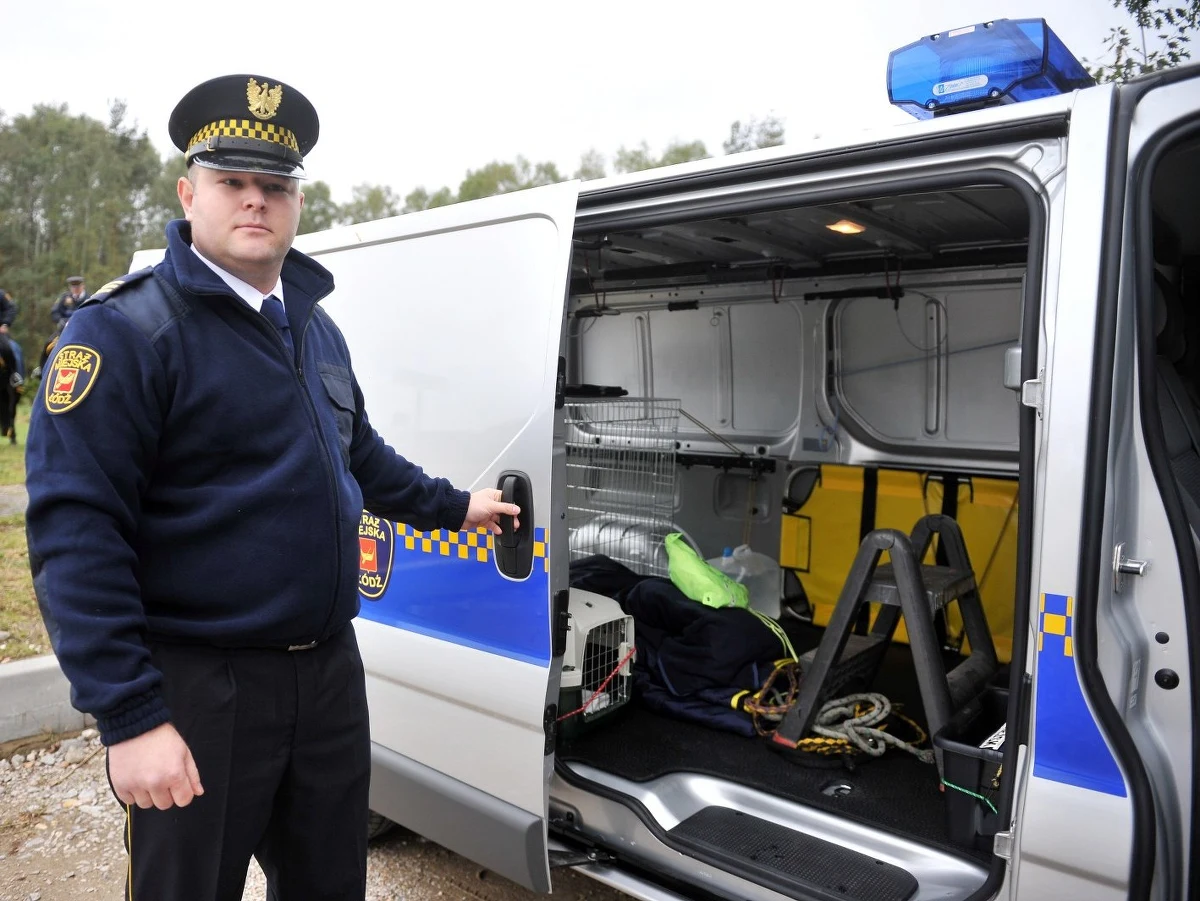 Kilkaset razy w ubiegłym roku interweniowali łódzcy Strażnicy Miejscy w sprawach zwierząt. Odbierano je nieodpowiedzialnym opiekunom, chwytano bezpańskie lub dzikie zwierzaki, a czasem przewożono te potrącone przez auta. Od niedzieli strażnicy będą mogli sprawniej zajmować się sprawami "braci mniejszych", bo dostali samochód przystosowany do ich przewożenia.