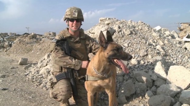 W Afganistanie od 2010 r. psy tropiące oczyściły z ładunków wybuchowych obszar o powierzchni przekraczającej 250 tysięcy metrów kwadratowych. Podobnie jak ich opiekunowie, mają jeden cel: chronić ludzkie życie. Silna więź między człowiekiem a zwierzęciem jest tutaj czymś niezbędnym. Psy tropiące i ich opiekunowie uratowali wspólnie setki ludzkich istnień... Bez nich misja NATO w Afganistanie skazana byłaby na niepowodzenie.