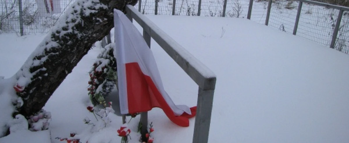 1 listopada nie było żadnych oficjalnych delegacji w Smoleńsku. Jedynie mieszkający w Smoleńsku Polacy oddali hołd pomordowanym w Katyniu oficerom oraz ofiarom katastrofy prezydenckiego tupolewa.
