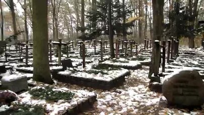 Wyjątkowy cmentarz leśny w Laskach 