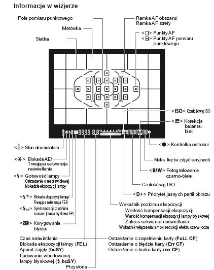 /materiały prasowe