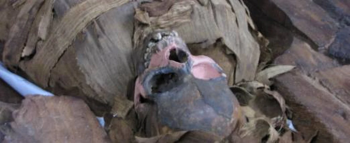 Krakowscy konserwatorzy po raz trzeci w historii otworzyli sarkofag kapłanki Izydy. Mumia przez kilka dni będzie dokładnie badana. Potem przez pół roku naukowcy będą opracowywać wyniki swoich badań po to, by każdy z nas mógł przyjrzeć się mumii z bardzo, bardzo bliska.