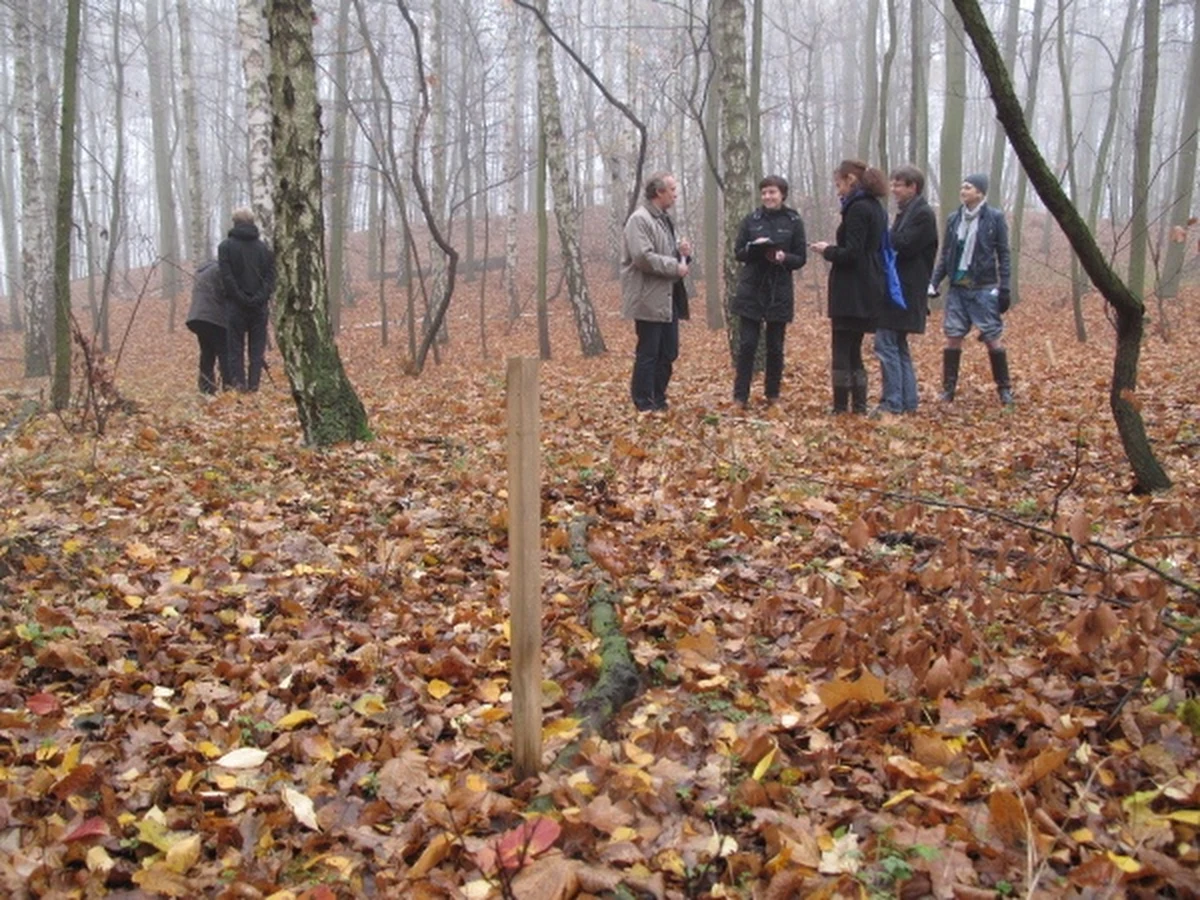 Władze Poznania i Fundacja Vier Pfoten podpisały umowę, której celem jest zakończenie nielegalnego trzymania niedźwiedzi na świecie. W poznańskim zoo powstanie azyl dla tych zwierząt.