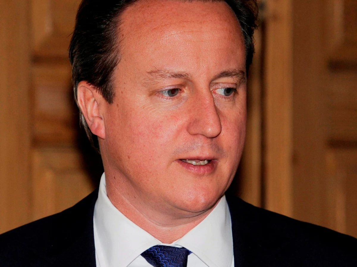 Brytyjski premier David Cameron w rozmowie telefonicznej z szefem izraelskiego rządu Benjaminem Netanjahu wezwał go, by "uczynił wszystko, co tylko możliwe" dla zakończenia kryzysu w Strefie Gazy. Szef MSZ William Hague ostrzegł zaś Izrael przed użyciem wojsk lądowych w tym obszarze. Stwierdził, że ofensywa mogłaby doprowadzić do utraty sympatii i poparcia na całym świecie. 