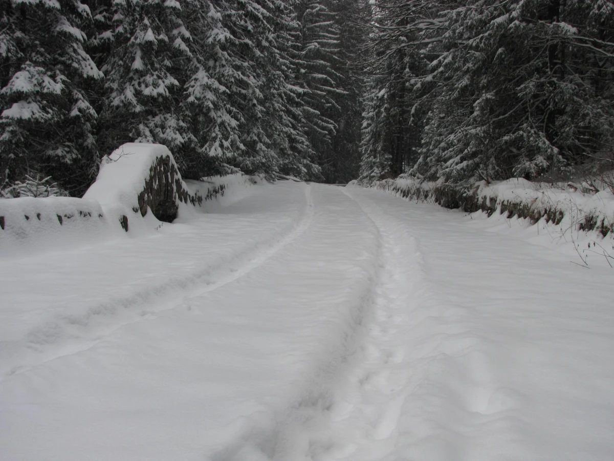 Kilkanaście centymetrów śniegu pokryło tatrzańskie szczyty. Białego puchu jednak wciąż przybywa. W związku z tym ratownicy Tatrzańskiego Ochotniczego Pogotowia Ratunkowego zdecydowali o ogłoszeniu pierwszego, najniższego stopnia zagrożenia lawinowego.