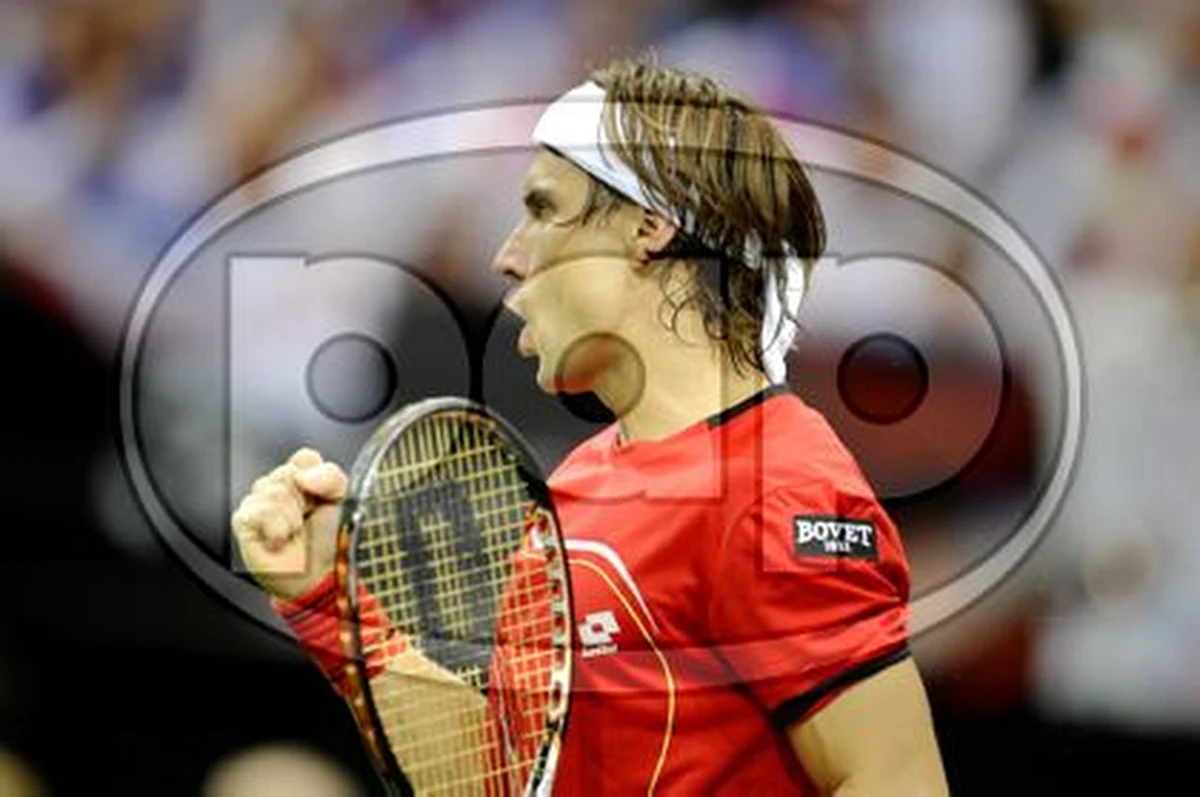 David Ferrer został uznany Najlepszym Tenisistą Roku w Hiszpanii. W ostatnim sezonie wygrał siedem turniejów - najwięcej w karierze - w tym w październiku imprezę ATP Masters 1000 w paryskiej hali Bercy, w której finale pokonał Jerzego Janowicza. Zawodnik został wyróżniony przez dziennikarzy zajmujących się tenisem. 

