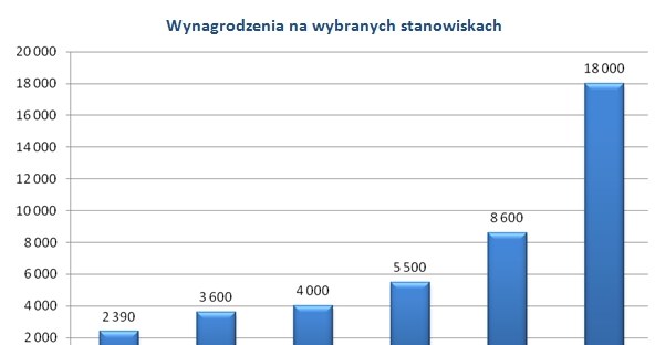 /wynagrodzenia.pl