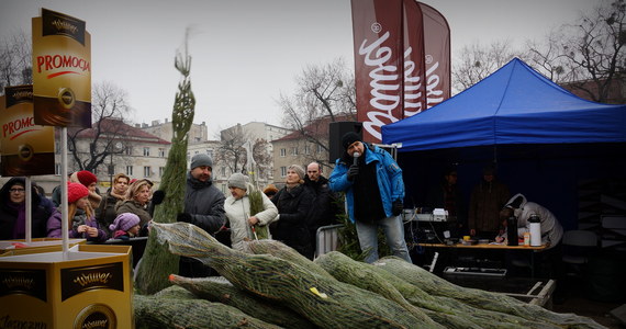 Na "choinkowej" mapie Polski dziś przyszła pora na Łódź! Na Starym Rynku rozdaliśmy Wam tysiąc pachnących drzewek. Tradycyjnie tropiliśmy także talenty wokalne. Zobaczcie najlepsze wykonania kolęd w przedświątecznym konkursie karaoke z Łodzi.