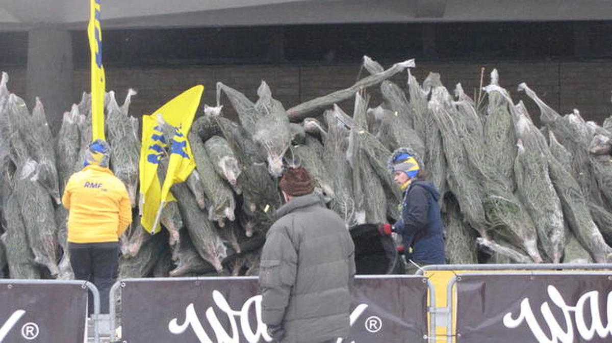 Kolejne choinki pod choinkę od RMF FM trafiły do naszych słuchaczy. Dziś zawitaliśmy do Kielc! By otrzymać drzewko, wystarczyło przyjść na Plac Artystów, a by zwiększyć swoje szanse... zaśpiewać. Na zwycięzcę kolędowego karaoke czeka wyjątkowa nagroda - występ na antenie RMF FM!