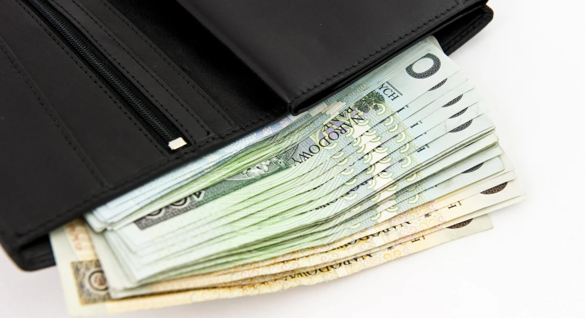 Gospodarstwa domowe mogą w 2013 roku mocniej niż dotąd odczuć spowolnienie gospodarcze - alarmuje "Rzeczpospolita". Ekonomiści prognozują, że płace większości Polaków staną w miejscu, a firmy będą masowo obcinać premie, bonusy czy nawet same wynagrodzenia.