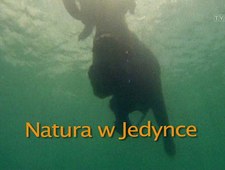 Wyjątkowe maluchy w świecie zwierząt