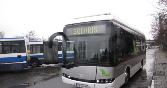 Jazda krakowską komunikacją miejską już nigdy nie będzie taka sama. Po mieście jeździ już pierwszy elektryczny autobus. Jest tak cichy, że można w nim rozmawiać szeptem. Zabiera na pokład pasażerów, którzy stoją na podłodze przypominającej trawnik, a na suficie widzą niebieskie niebo z chmurami.