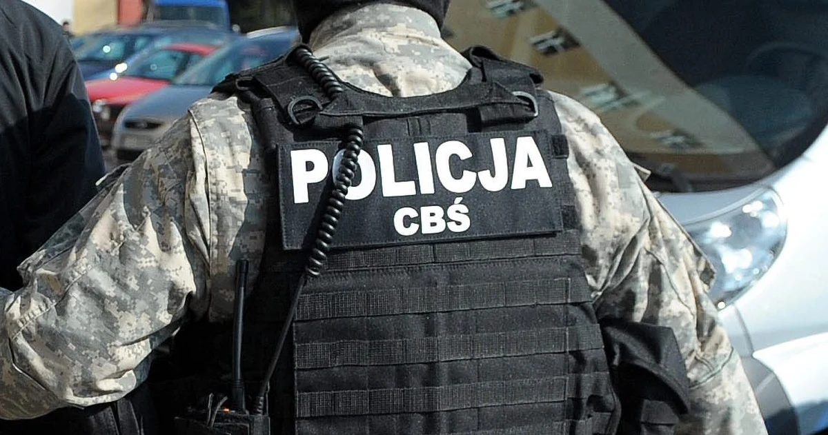Funkcjonariusze CBŚ zatrzymali dziewięć osób powiązanych z grupą przestępczą ujętego dwa lata temu Rafała S. ps. Szkatuła. Grupa specjalizowała się w przemycie oraz rozprowadzaniu narkotyków - poinformowała Komenda Główna Policji.