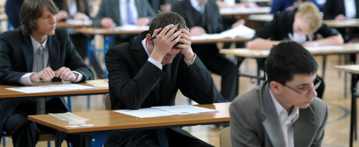 Szóstoklasiści, gimnazjaliści oraz maturzyści mogą sprawdzić swoje umiejętności w bezpłatnych testach online. Będą one dostępne od poniedziałku przez tydzień na stronie www.egzamer.pl. Jak zapewniają twórcy strony, testy są zgodne ze standardami Centralnej Komisji Egzaminacyjnej.