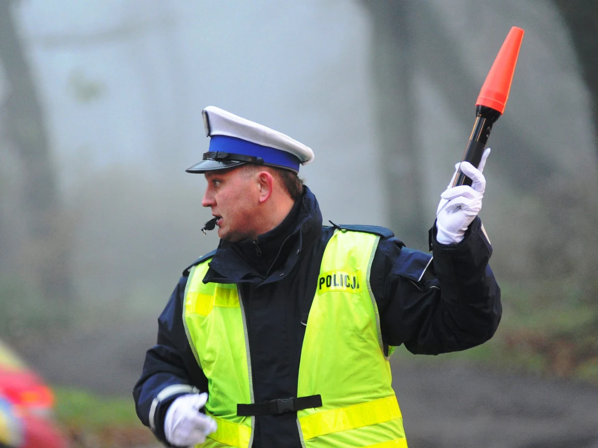 Osiem osób trafiło do szpitala po wypadku autobusu w Pile w Wielkopolsce. Pojazd wpadł w poślizg i uderzył w drzewo - poinformował rzecznik wielkopolskiej policji Andrzej Borowiak. Na szczęście obrażenia odniesione przez pasażerów nie są groźne.