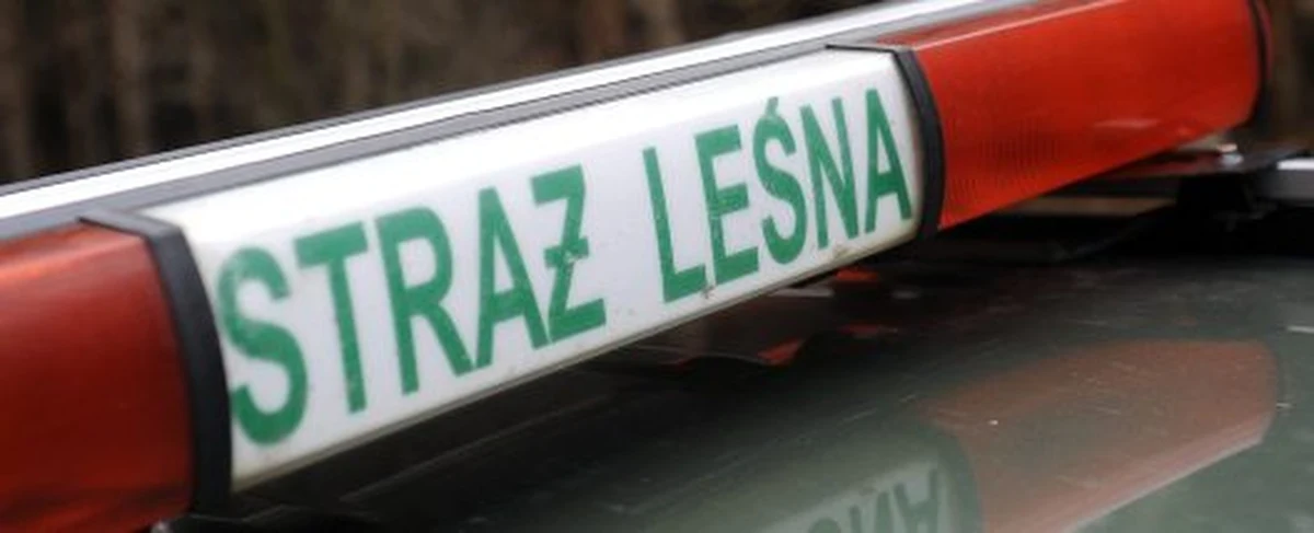 U mieszkańca jednej z podkrakowskich miejscowości znaleziono narzędzia do kłusowania i dwie skóry borsuka i lisa. Zbigniew S. stanie teraz przed sądem. 