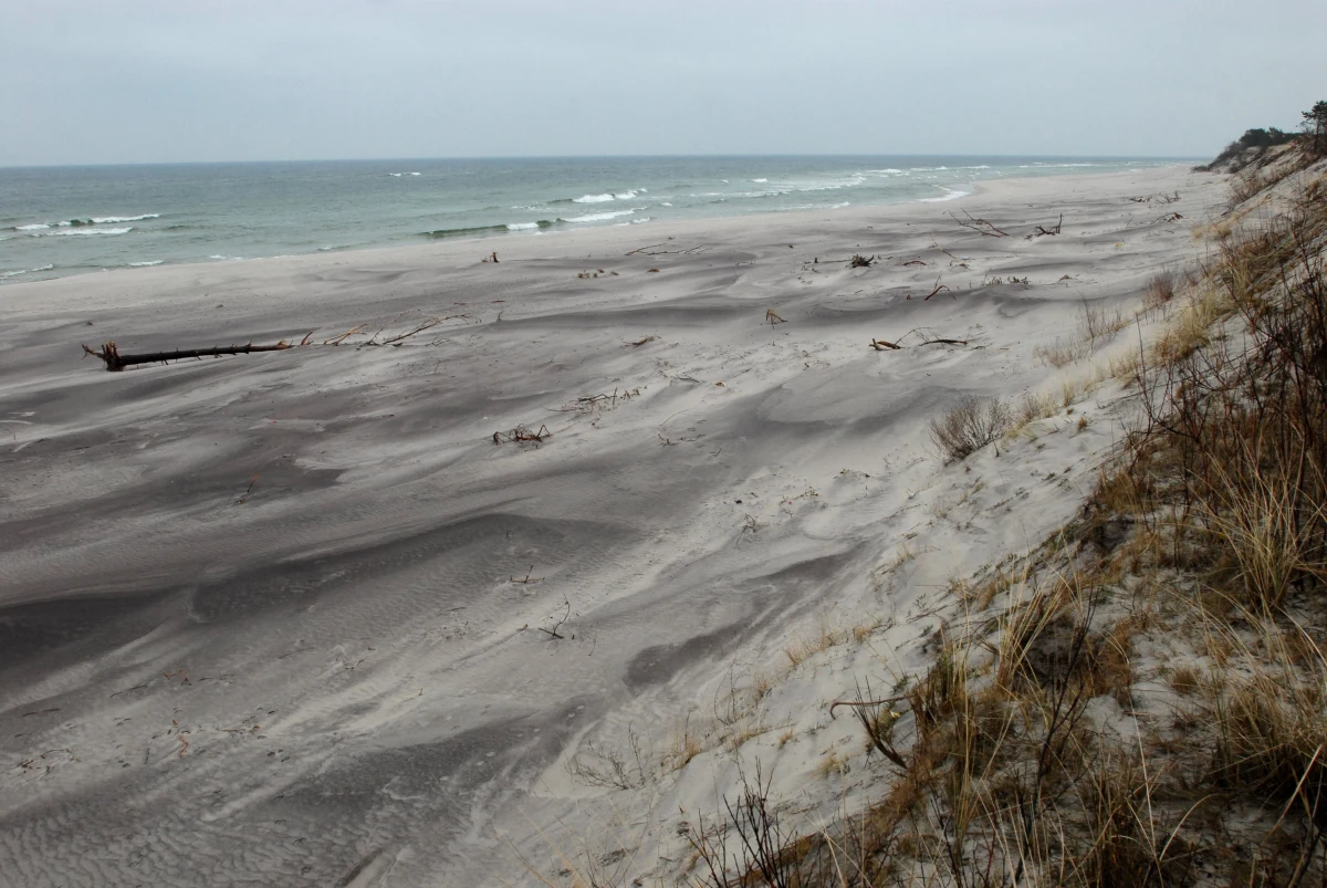 Nawet 60 ton amunicji z gazem musztardowym może leżeć na dnie Bałtyku, niecałe 40 kilometrów od Helu. To pozostałość po zatopionej po II wojnie światowej broni chemicznej. Polska prosi NATO o pieniądze na jej usunięcie.