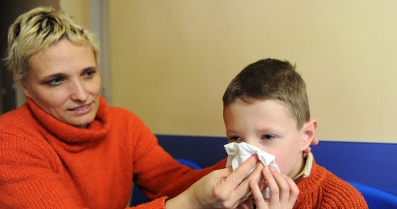 Tylko w grudniu w Polsce zanotowano ponad dwieście tysięcy przypadków zachorowań i podejrzeń zachorowania na grypę. Rok wcześniej było ich prawie o połowę mniej. Z raportu przedstawionego przez Centrum Informacji o Przeziębieniu i Grypie wynika, że pod koniec 2012 roku z grypą lub infekcjami do niej podobnymi mierzyło się 261 024 Polaków. Rok wcześniej problem ten dotyczył 117 tysięcy osób.