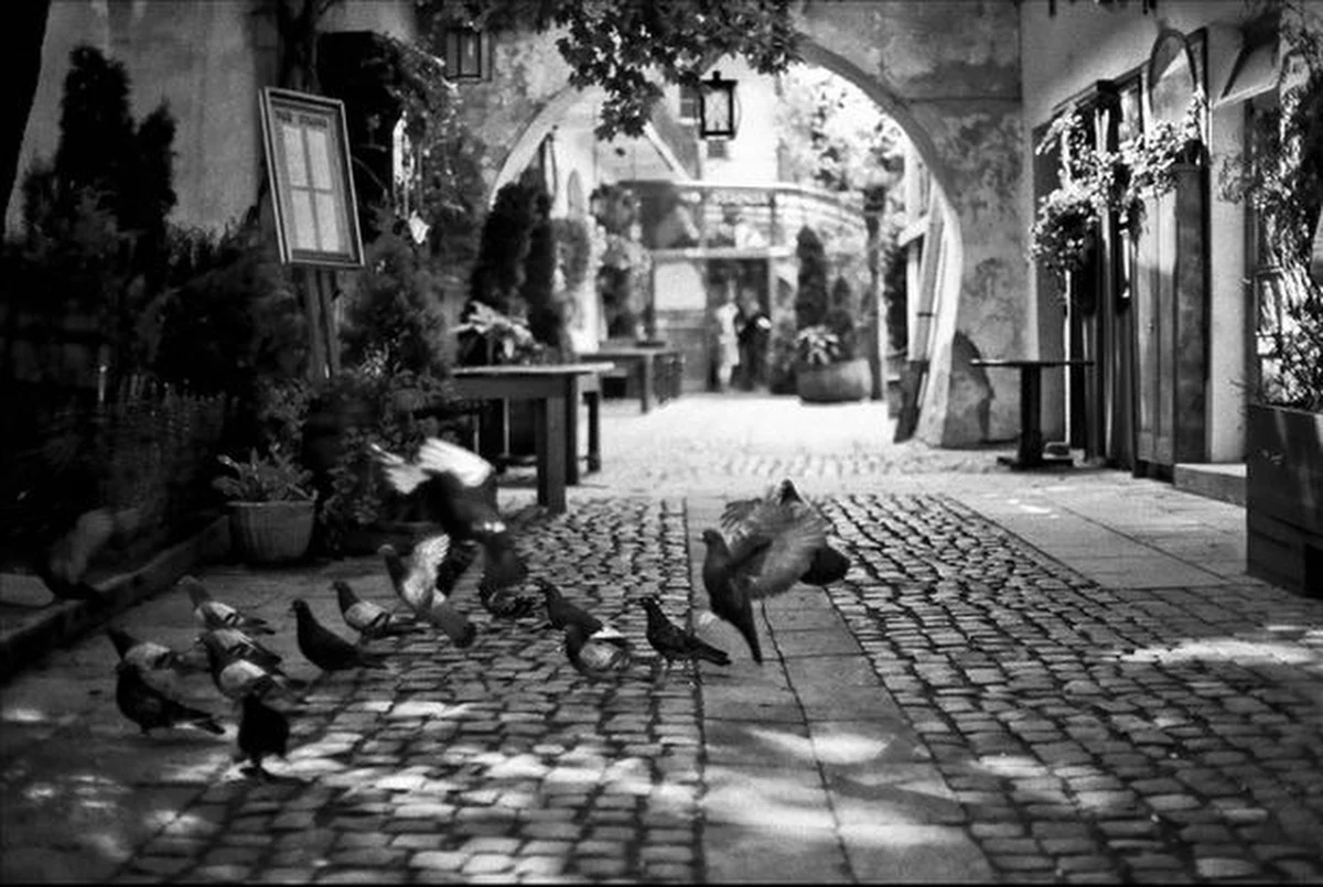 Niemal w każdym polskim mieście jest dzielnica, która jeszcze 10-20 lat temu odstraszała zarówno swoją brzydotą, jak i złą sławą. Dziś przechodzi metamorfozę i z dnia na dzień odzyskuje dawny blask. 