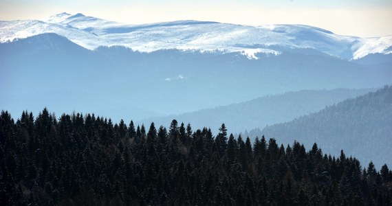 Nawet kilka godzin może trwać akcja GOPR w Bieszczadach. Ratownicy wyruszyli na pomoc 9-osobowej grupie młodzieży i ich dwóm opiekunom, którzy utknęli w górach. Młodzi ludzie są w wieku od 15 do 19 lat. 