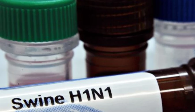 Bełchatów: Cztery osoby zarażone świńską grypą