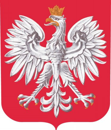 wielki czarny kogut w białym tyłku
