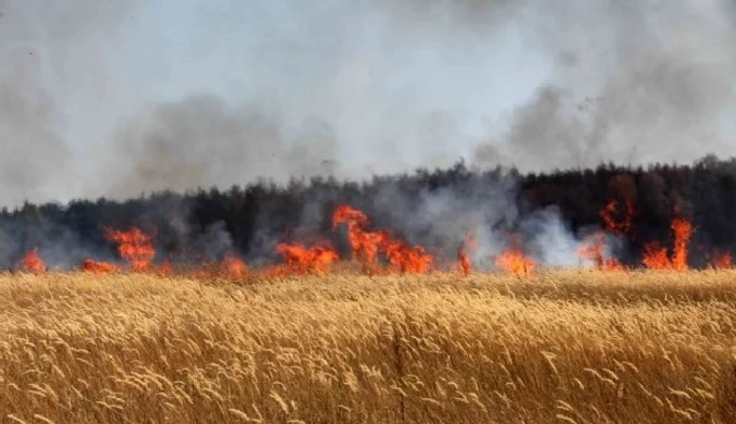 Anomalie pogodowe wywołają klęskę głodu