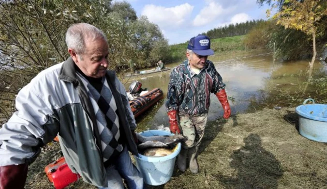 Węgry: Żrący szlam zabija ryby w rzekach