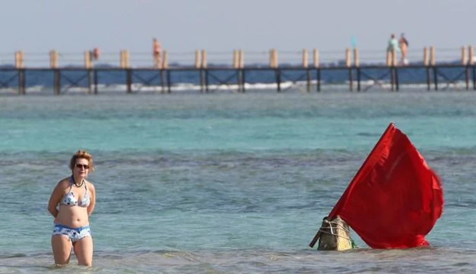 Egipt: Znowu zamknięte plaże, strach przed rekinami