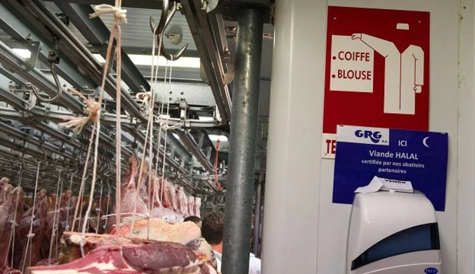 Francja: Polityczne kłótnie o rytualny ubój zwierząt