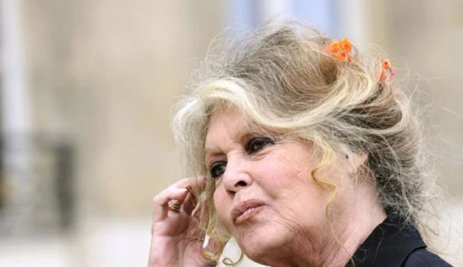 Bardot apeluje o uwolnienie włoskich obrońców zwierząt z aresztu