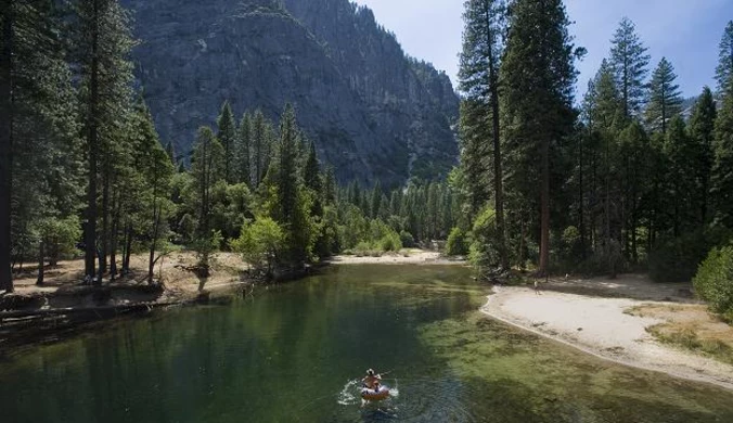 Groźny wirus w Parku Narodowym Yosemite