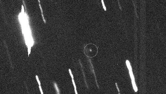 Asteroida Apophis przelatuje w pobliżu Ziemi