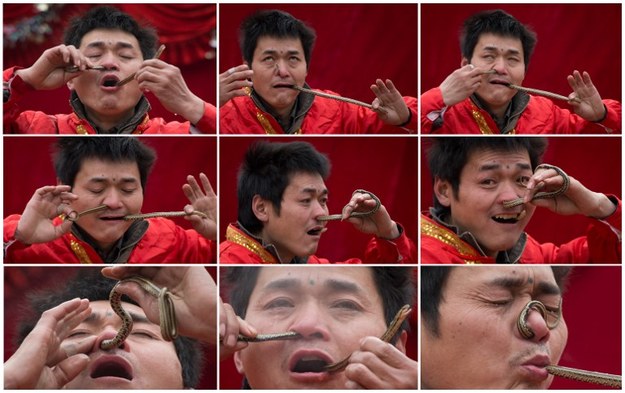 Pewien Chińczyk znalazł nietypowy sposób na powitanie nowego chińskiego roku, który tym razem jest Rokiem Wodnego Węża. Włożył sobie bowiem węża przez nos, a wyjął przez usta... 
