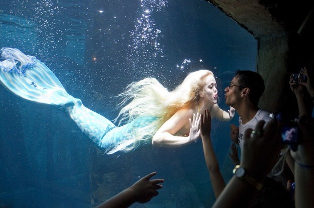 Oto Mirella Ferraz, znana jako brazylijska syrena. Kobietę można oglądać w ogromnym akwarium w Sao Paulo, gdzie pływa z… rybami.