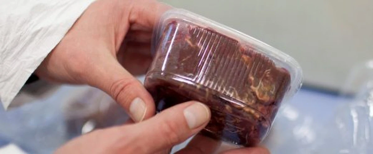 Holenderska firma Willy Selten w Oss jest podejrzana o sprzedaż mięsa wołowego z domieszką koniny. Jak się dowiedziała nasza korespondentka Katarzyna Szymańska-Borginon, holenderska prokuratura podejrzewa firmę o fałszowanie dokumentów. W firmie tej zatrudnieni są nasi rodacy.