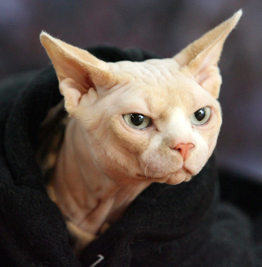 /IGOR KOVALENKO /PAP/EPA