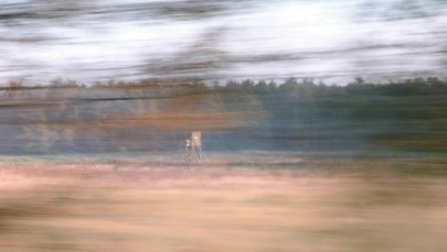 Nowy rekord! Polski pociąg rozpędził się do 200 km/h