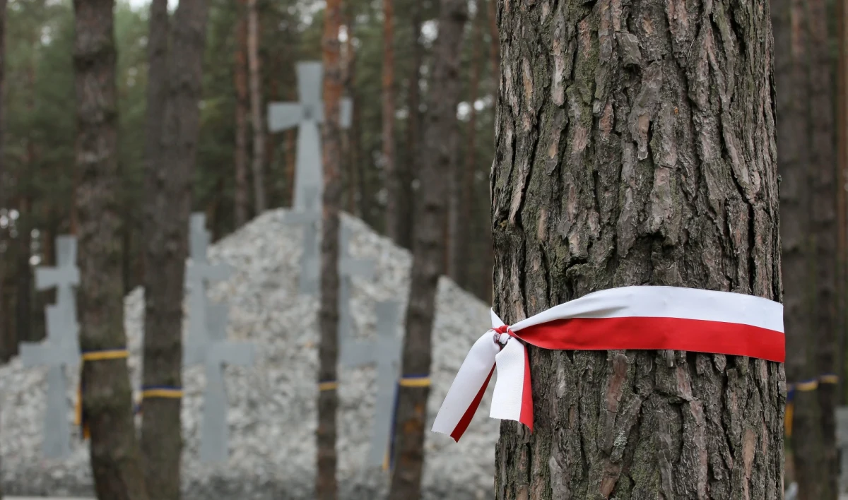 W Rosji po raz kolejny padają kłamstwa na temat zbrodni katyńskiej. Państwowe radio "Głos Rosji" publikuje na swoich stronach internetowych artykuł z "Twerskiej Gazety", zatytułowany "Pamiętają polscy Panowie". W gazecie można przeczytać, że nadszedł czas, by powrócić do "poprzedniej radzieckiej wersji sprawy katyńskiej" - czyli tej, która mówi, że zbrodni na polskich oficerach dokonali Niemcy.
