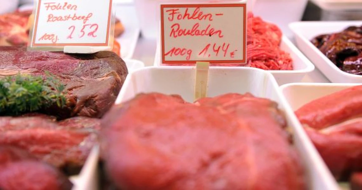 Niemiecki tygodnik "Der Spiegel" napisał, że konina dodawana do wołowiny na zachodzie Europy pochodziła z Polski. Niemiecki tygodnik twierdzi, że firma produkująca gulasz dla sieci tanich sklepów Aldi Sued kupowała mięso od pośrednika, który z kolei importował je od jednej z polskich firm. Dziennik dodaje, że ślady koniny deklarowanej jako wołowina prowadzą także do Włoch.