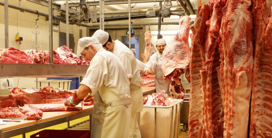 /HELMUT FOHRINGER /PAP/EPA