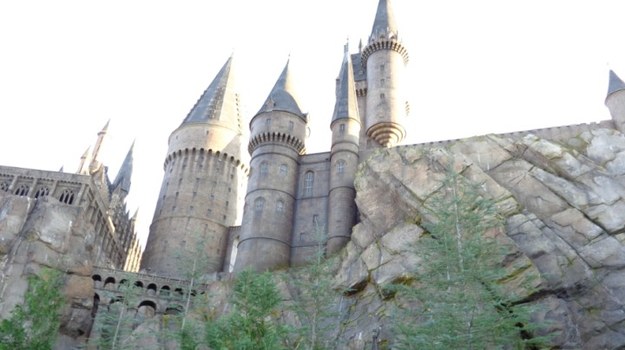 W Orlando powstał park rozrywki "Czarodziejski świat Harry'ego Pottera", gdzie wiernie odwzorowano każdy szczegół Hogwartu i wioski Hogsmeade, a także innych fragmentów czarodziejskiego świata.