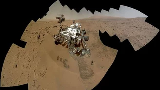 Awaria komputera wstrzymała marsjańską misję łazika Curiosity