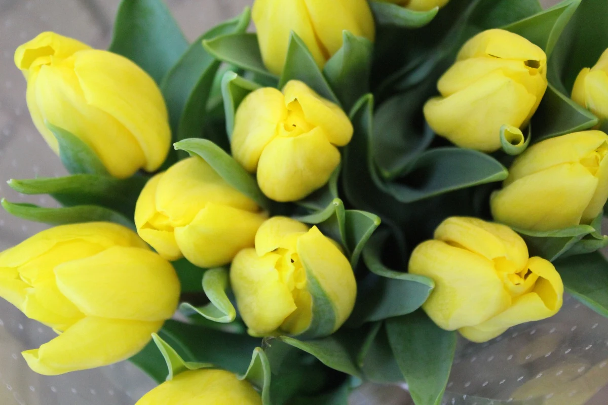 Dla jednych relikt poprzedniej epoki, dla drugich okazja, żeby docenić rolę kobiet. Święto 8 marca - dzień, w którym uśmiech gości na twarzach kobiet. Dzień, w którym panie lubią dostawać prezenty, a panowie lubią im je wręczać. 