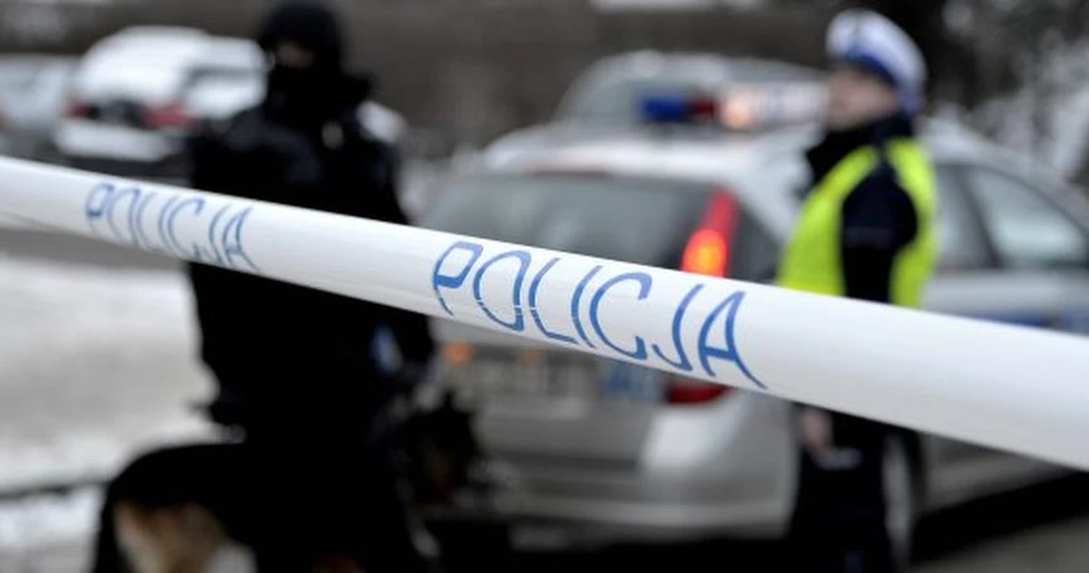 Prokuratura Okręgowa w Zielonej Górze wszczęła śledztwo ws. śmiertelnego postrzelenia policjanta, do którego doszło przy trasie krajowej numer 92 w pobliżu Świebodzina. Podczas szarpaniny z kierowcą kradzionego samochodu wypaliła broń jednego z funkcjonariuszy. Mężczyzna zmarł w wyniku obrażeń głowy. Informację o strzelaninie otrzymaliśmy na Gorącą Linię RMF FM. 